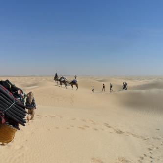 desert_et_dromadaires_2014