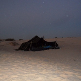 sam_0256